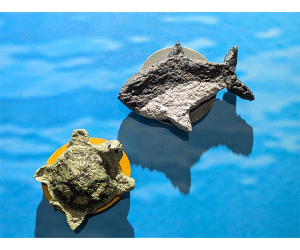 海洋新紙力環保吸鐵